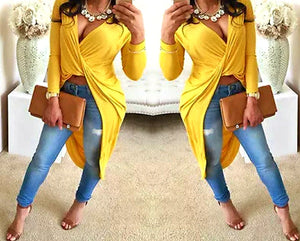 Brila V-Neck Long Sleeve Top Plus Size
