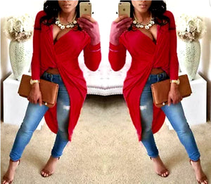 Brila V-Neck Long Sleeve Top Plus Size