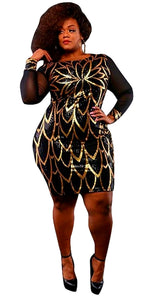 Vicky Elegant Sheer Mesh Dress