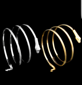 Coil Snake Spiral Bangle