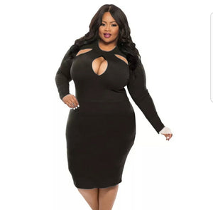 Molina Elegant Hollow Out Dress